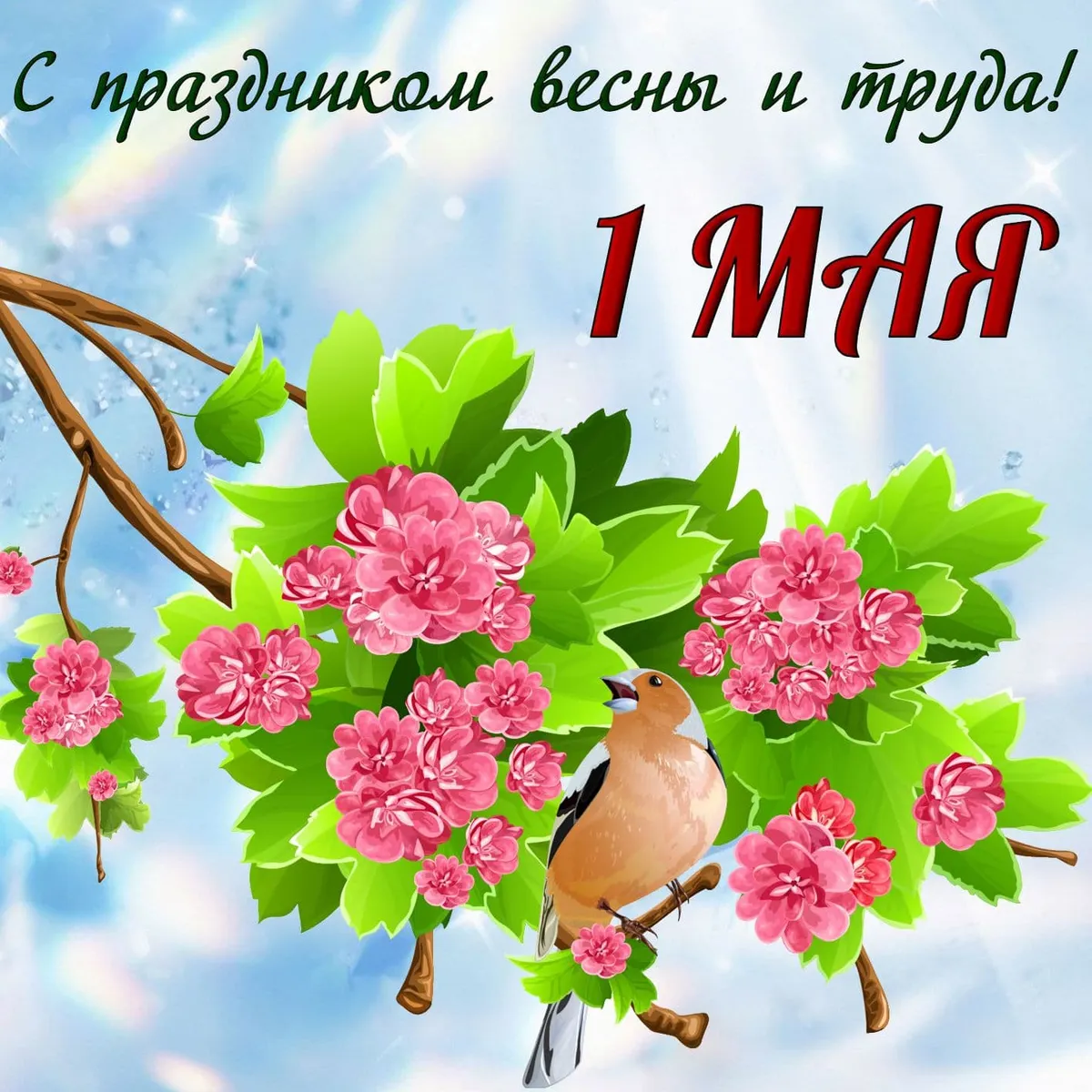 Änderungen in der Ukraine ab 1. Mai