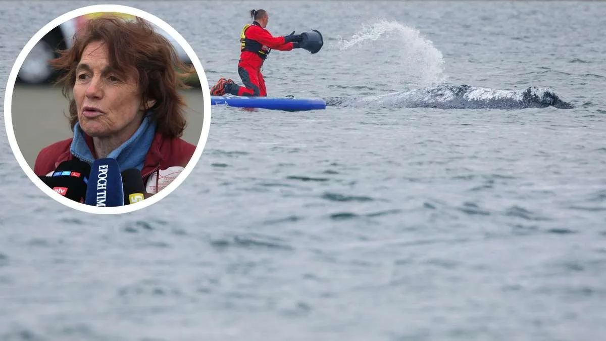 Karin Walter-Mommert und die Rettungsaktion für Wal Timmy