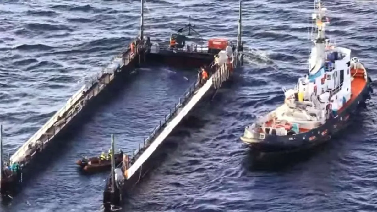 News5: Wal-Rettung: Buckelwal Timmy wird in der Ostsee freigelassen