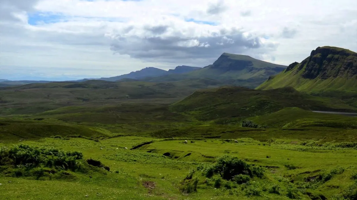 Schottland: Entdeckung in : 5.500 Jahre alte Holzplattform