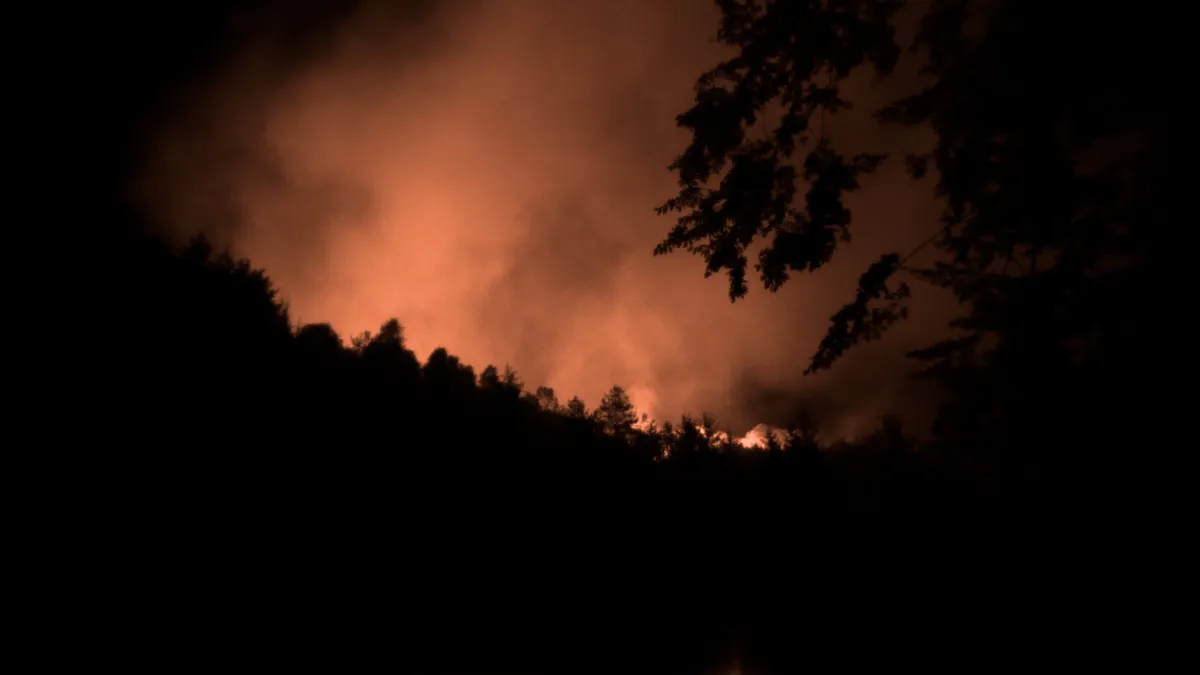 Waldbrand Böhmische Schweiz