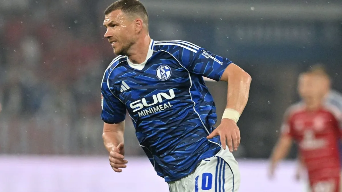 Gelsenkirchen: Džeko verlängert bei Schalke, Lindström-Deal geplatzt