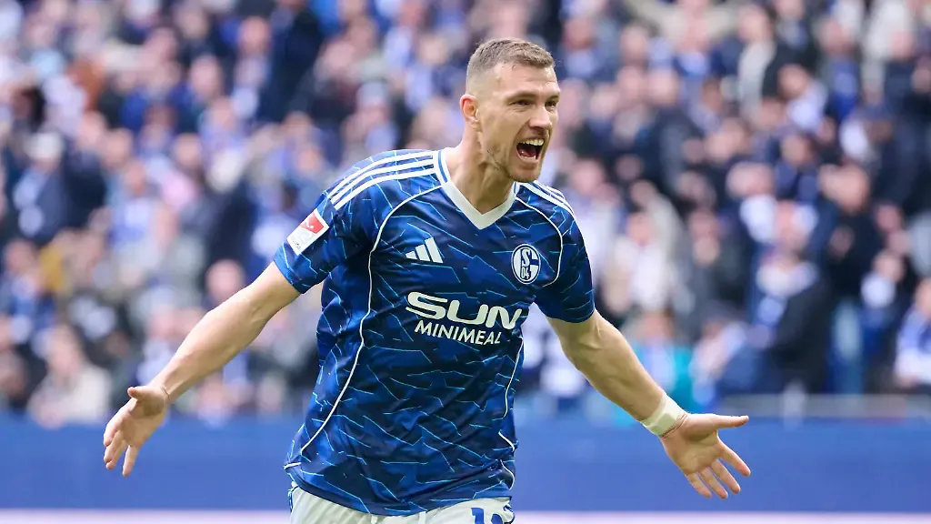 ARCHIV-15-03-2026-Nordrhein-Westfalen-Gelsenkirchen-Fussball-Maenner-2-Bundesliga-FC-Schalke-04-Hannover-96-26-Spieltag-Veltins-Arena-Edin-Dzeko-FC-Schalke-04-l-jubelt-ueber-sein-Tor-zum-1-0